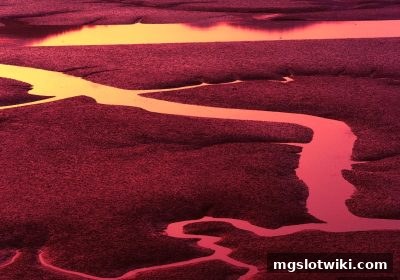 数字彩票玩法深度解析：三重号与双号揭秘 | mg电子游戏介绍