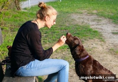 mg电子游戏介绍：番摊特殊符号的深度解析与策略影响