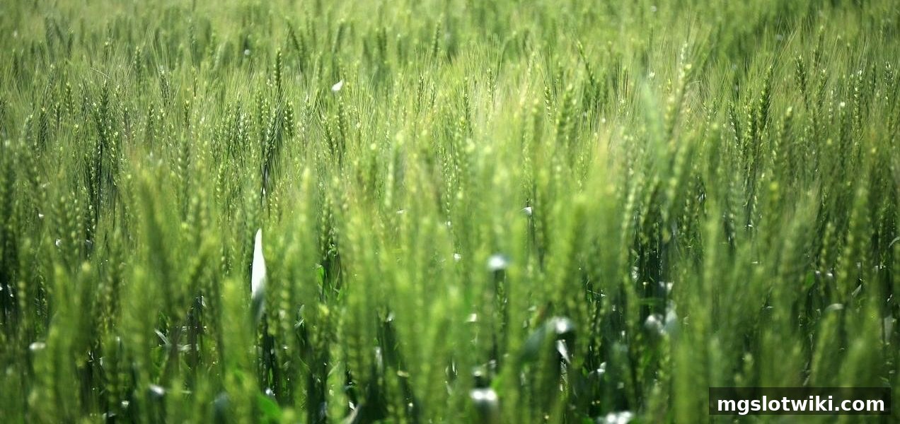 mg电子游戏介绍：彩票多注与多倍玩法的深度策略解析