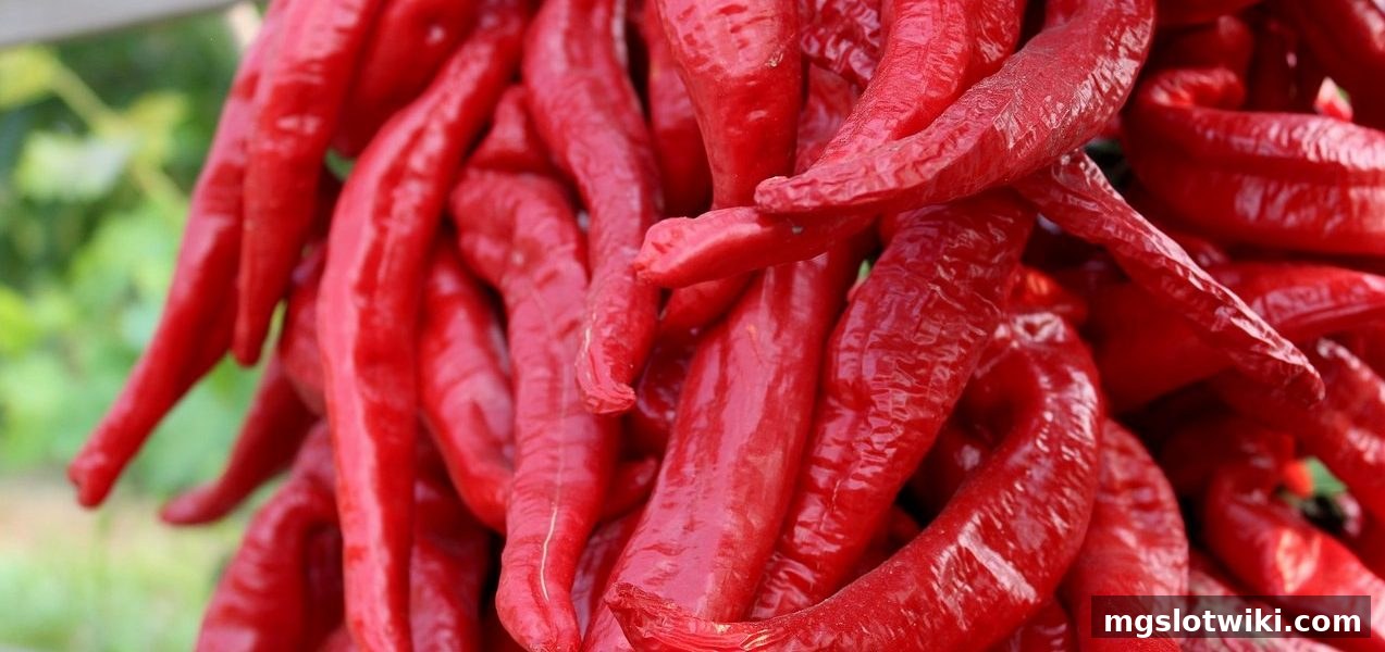 胜率计算数据应用全解析：mg电子游戏介绍登录与策略指南